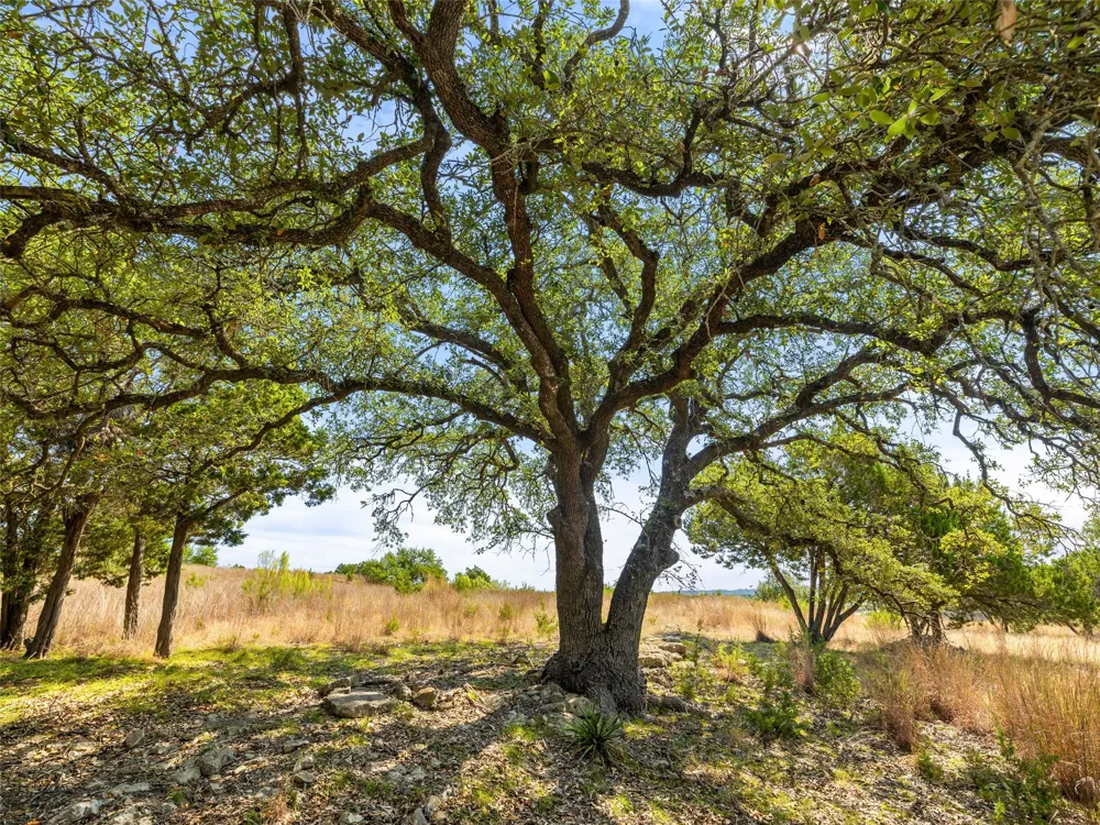 5818 Ranch Road 165 Blanco, TX 78606