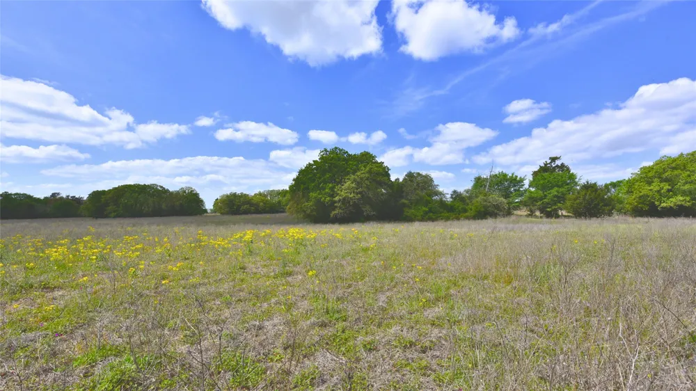 Legacy Road (10.4 acres) Caldwell, TX 77836