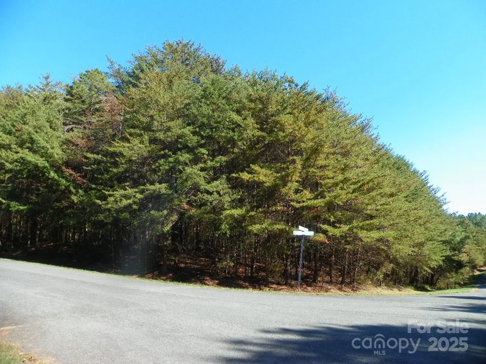108 Chersonese Court New London, NC 28127