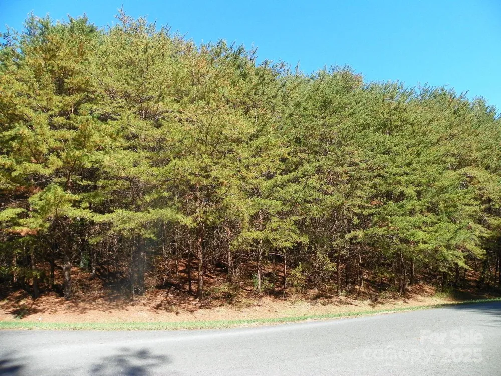 108 Chersonese Court New London, NC 28127