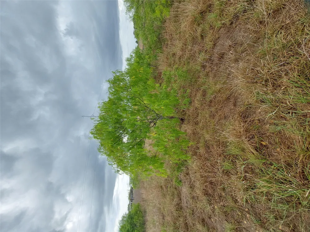 1060 Fox Lane #Tract 4 Lockhart, TX 78644