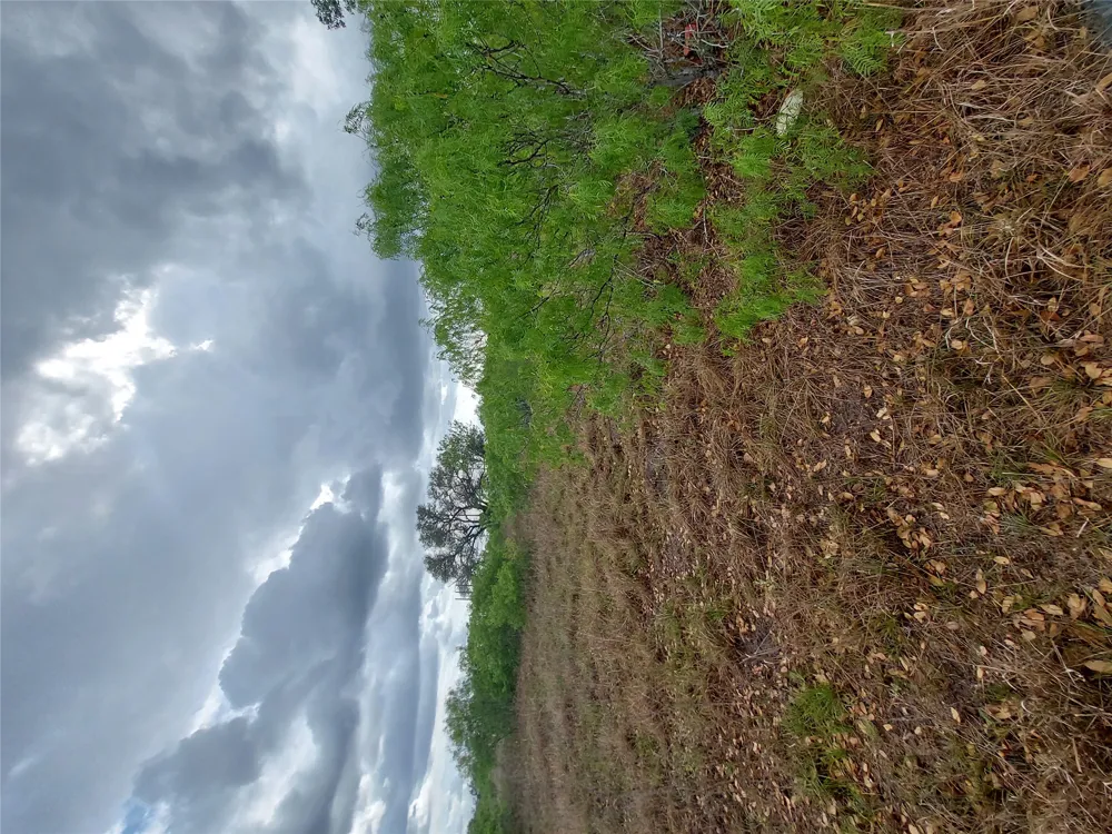 1060 Fox Lane #Tract 4 Lockhart, TX 78644