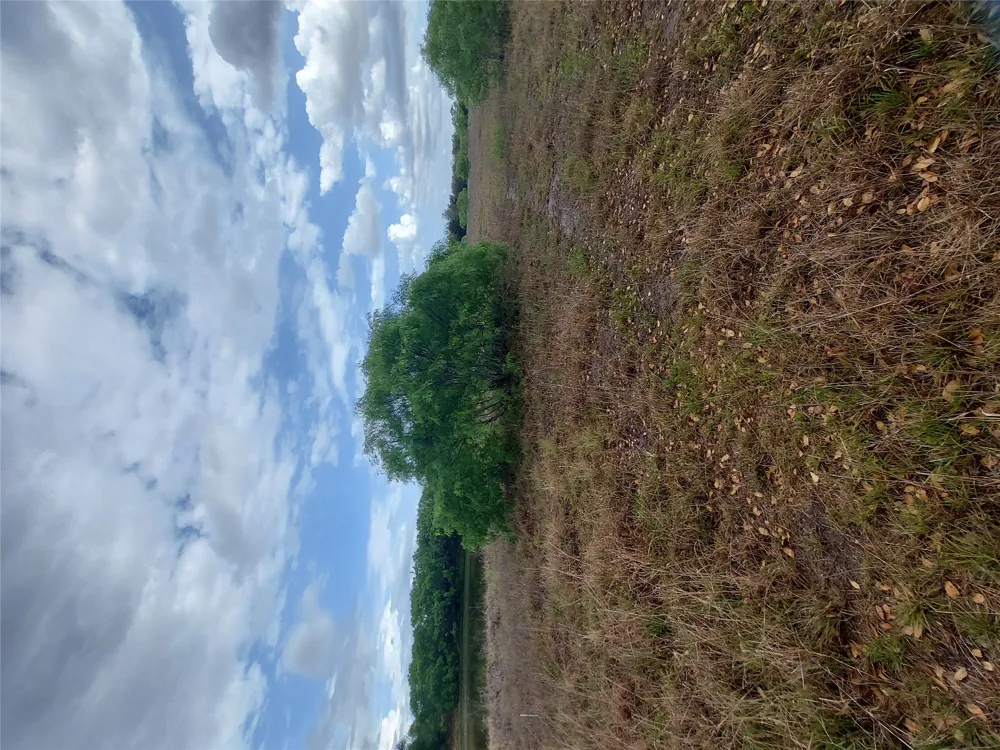 1060 Fox Lane #Tract 4 Lockhart, TX 78644
