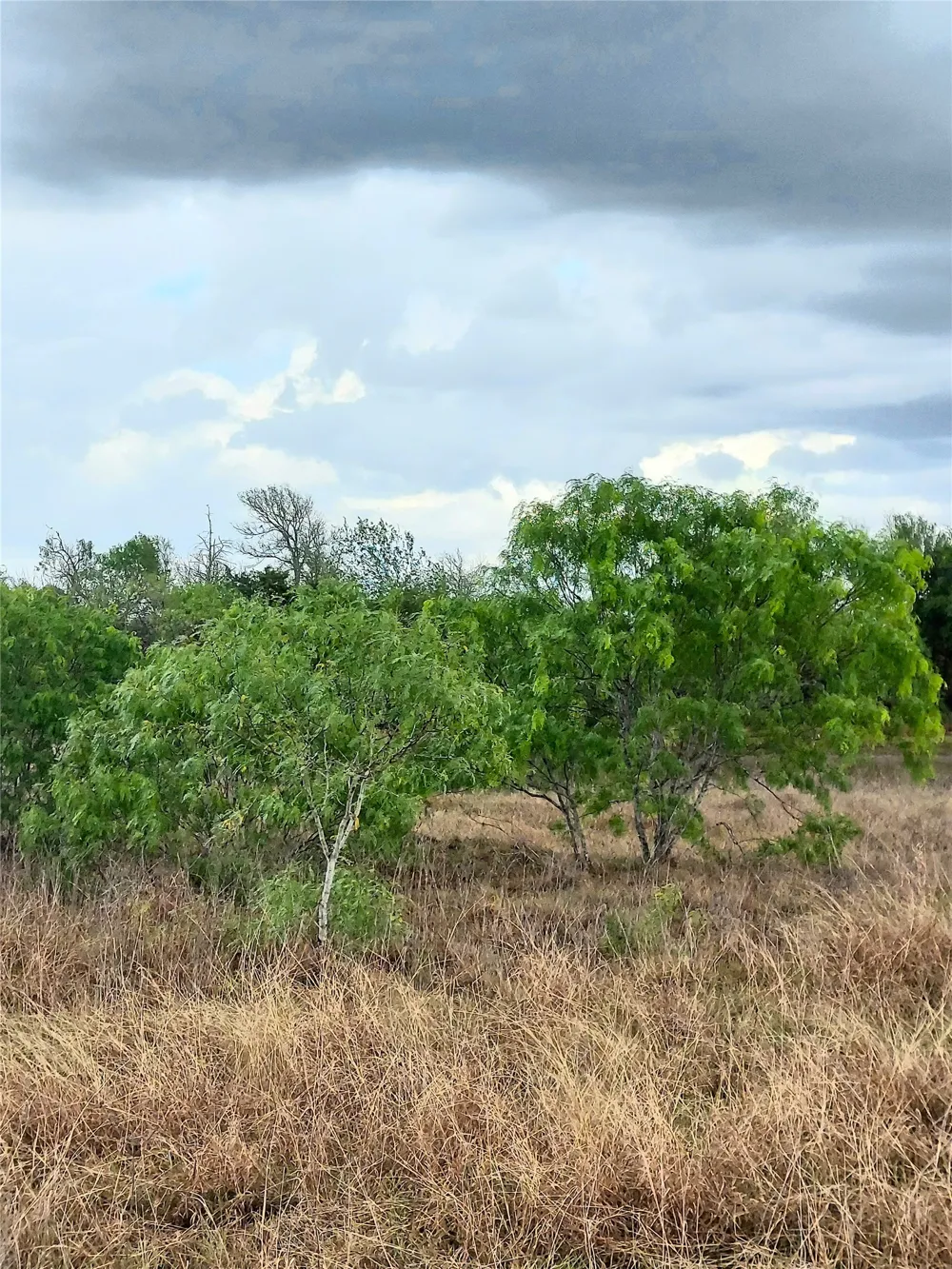 1060 Fox Lane #Tract 4 Lockhart, TX 78644