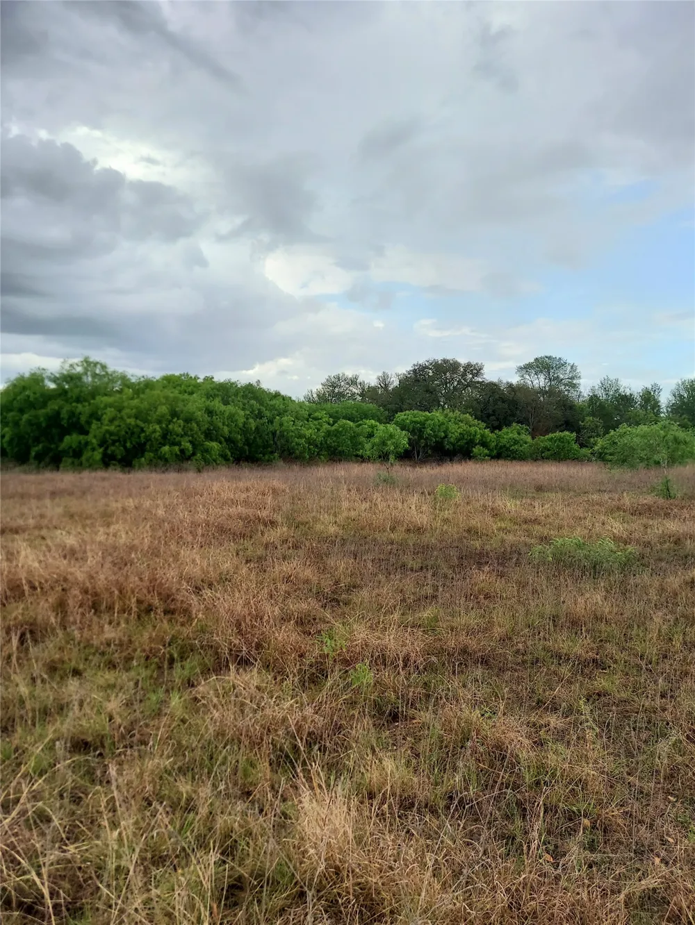 1060 Fox Lane #Tract 4 Lockhart, TX 78644