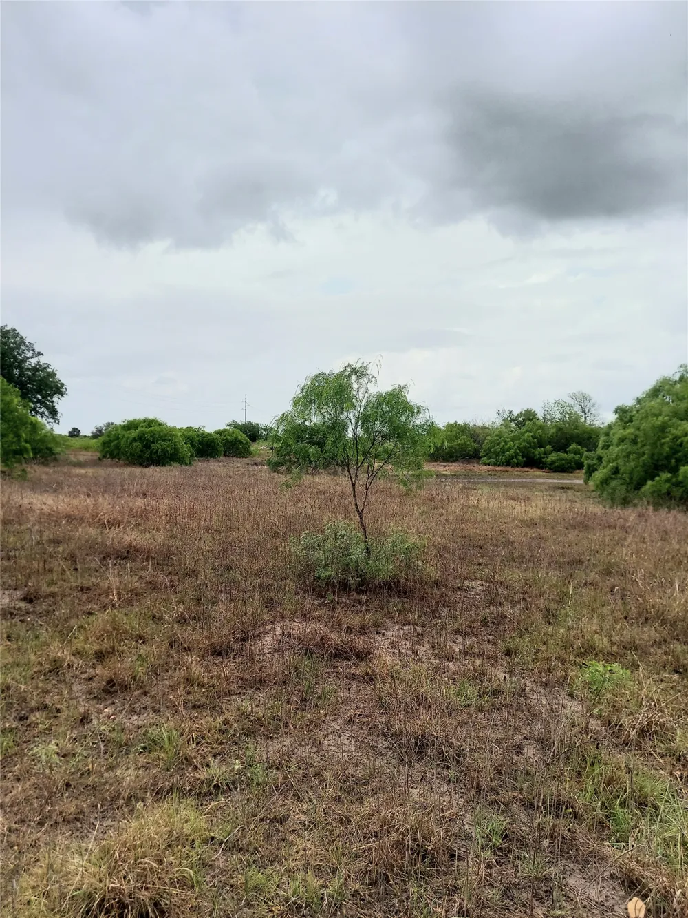 1060 Fox Lane #Tract 4 Lockhart, TX 78644