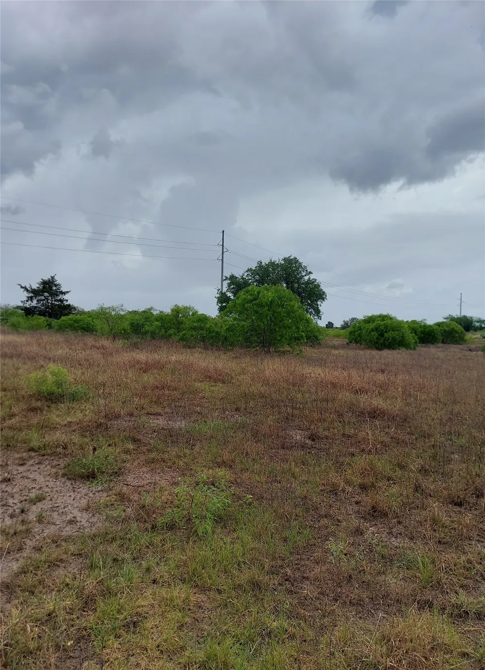 1060 Fox Lane #Tract 4 Lockhart, TX 78644