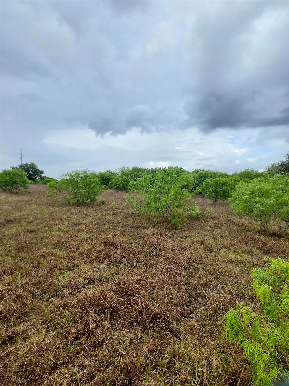 1060 Fox Lane #Tract 4 Lockhart, TX 78644