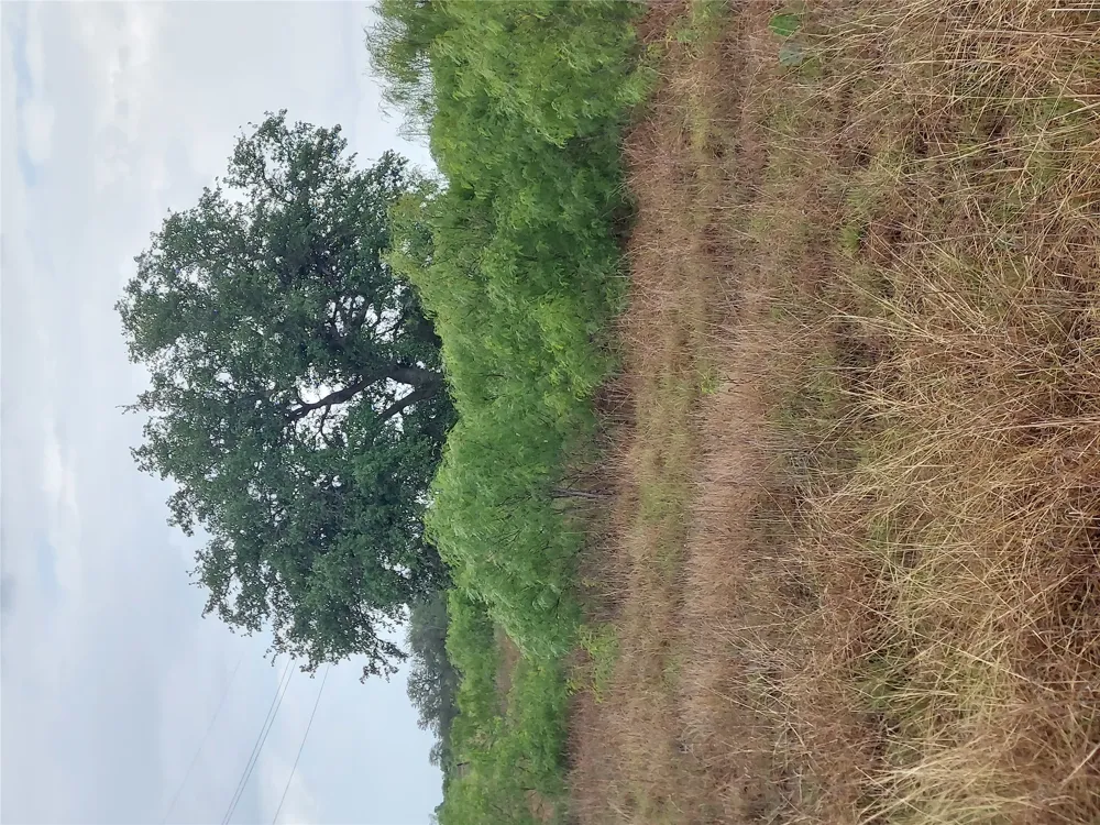 1060 Fox Lane #Tract 4 Lockhart, TX 78644