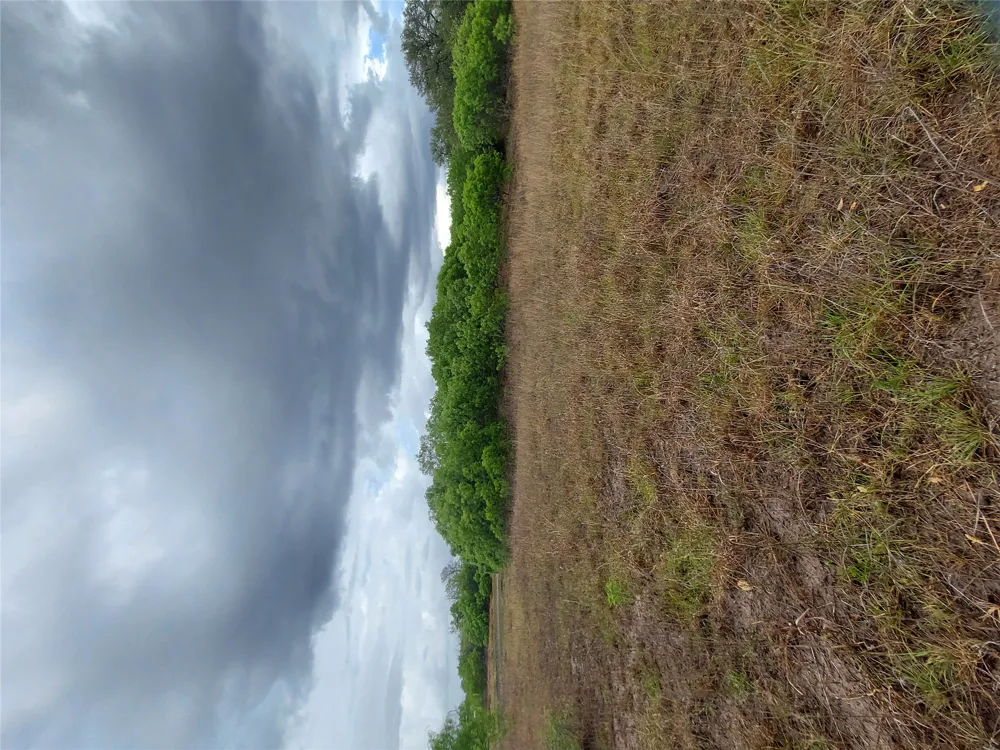 1060 Fox Lane #Tract 4 Lockhart, TX 78644