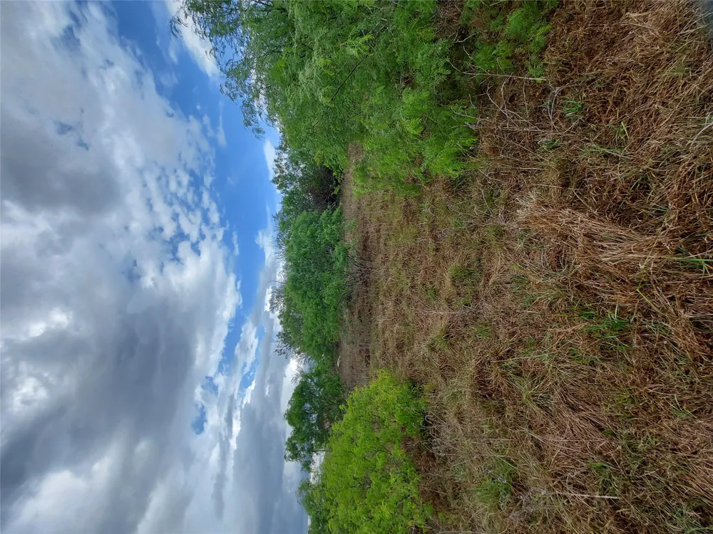 1060 Fox Lane #Tract 4 Lockhart, TX 78644