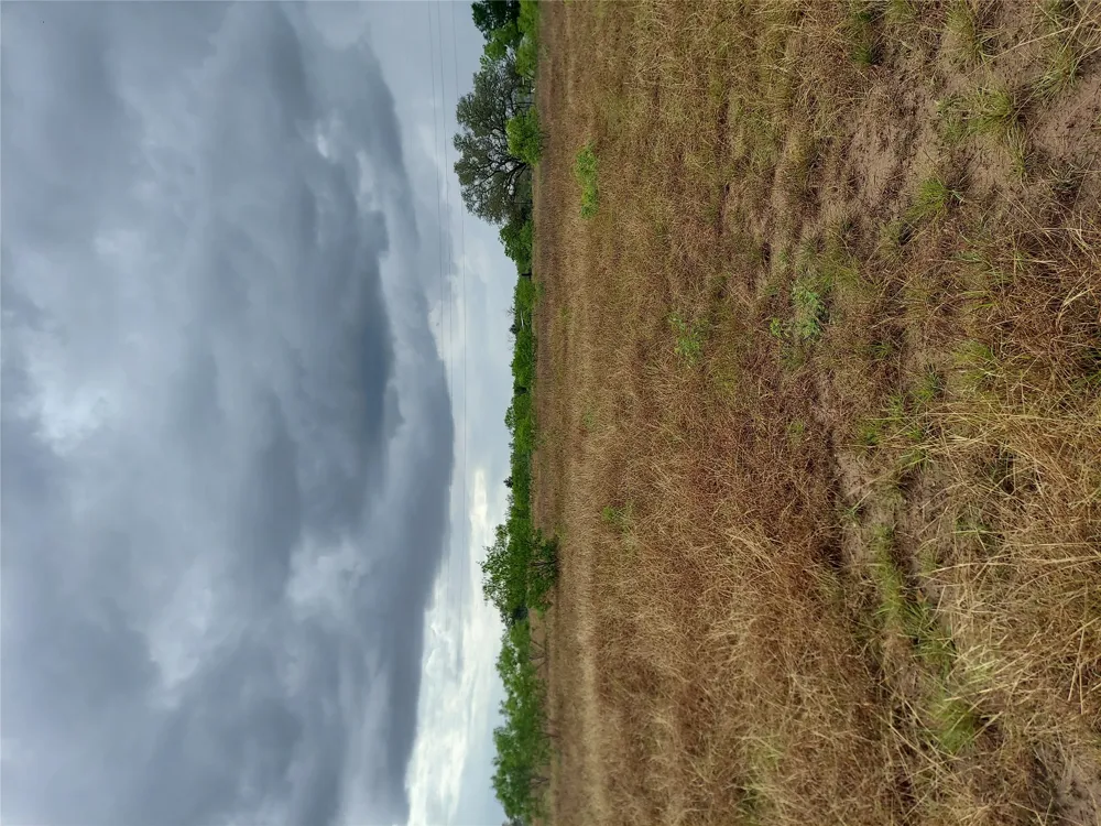 1060 Fox Lane #Tract 4 Lockhart, TX 78644