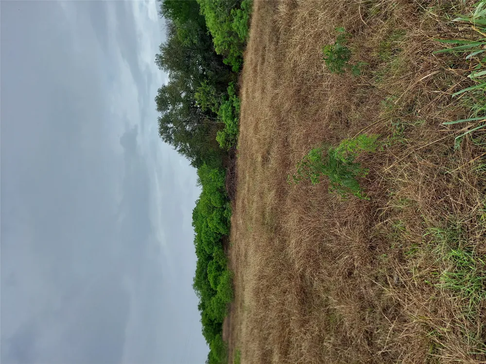 1060 Fox Lane #Tract 4 Lockhart, TX 78644