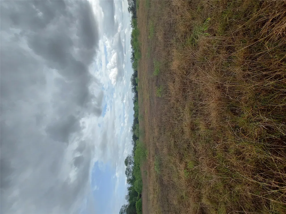 1060 Fox Lane #Tract 4 Lockhart, TX 78644