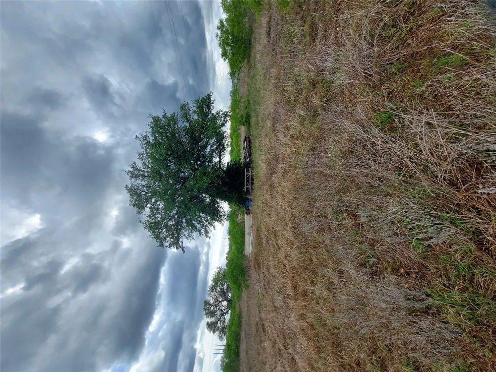 1060 Fox Lane #Tract 4 Lockhart, TX 78644