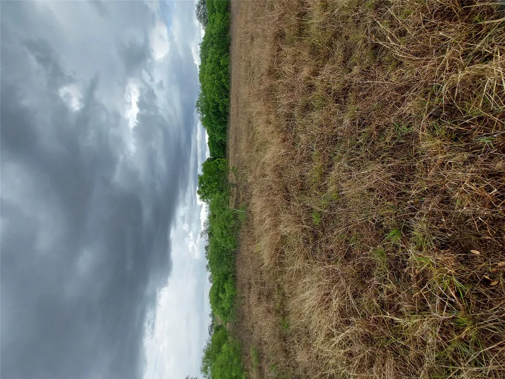 1060 Fox Lane #Tract 4 Lockhart, TX 78644