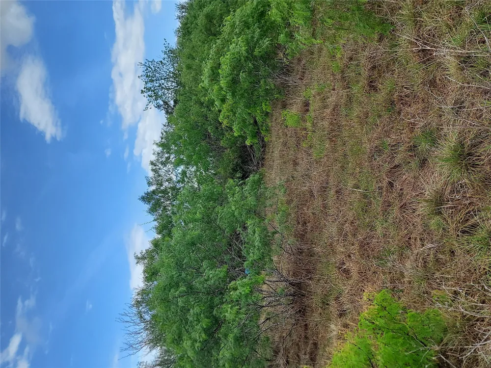 1060 Fox Lane #Tract 4 Lockhart, TX 78644