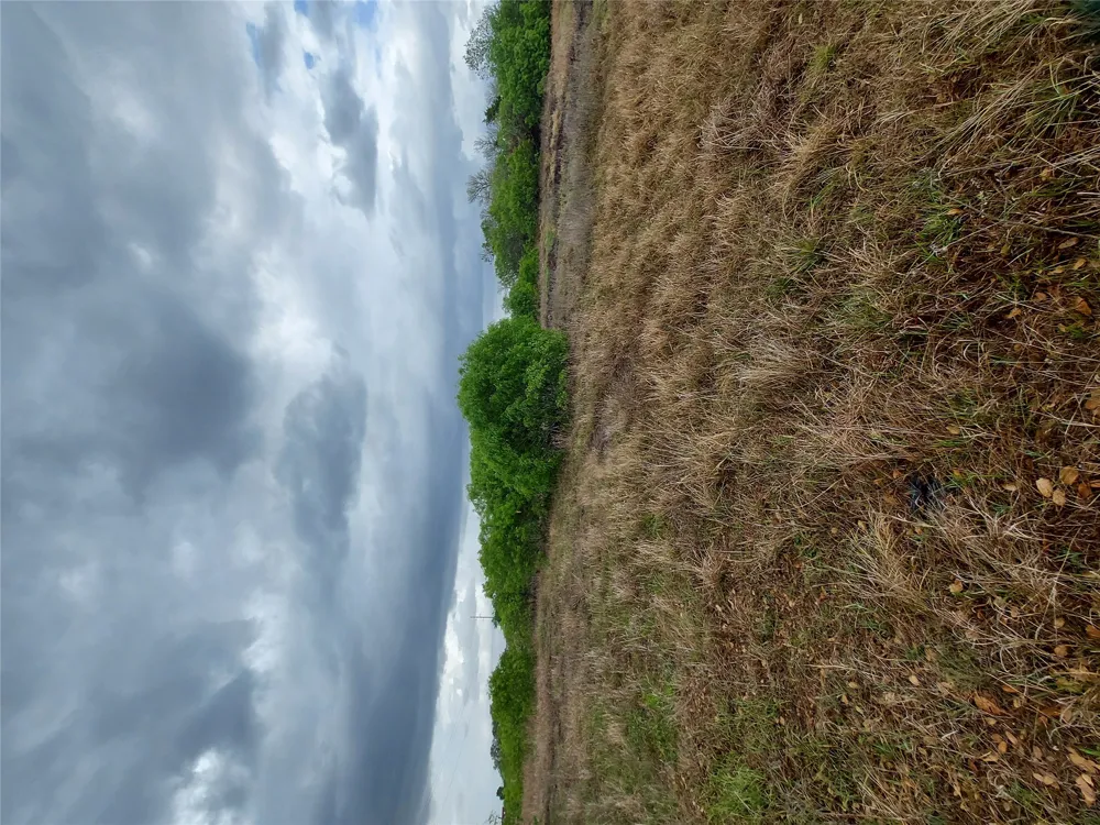 1060 Fox Lane #Tract 4 Lockhart, TX 78644