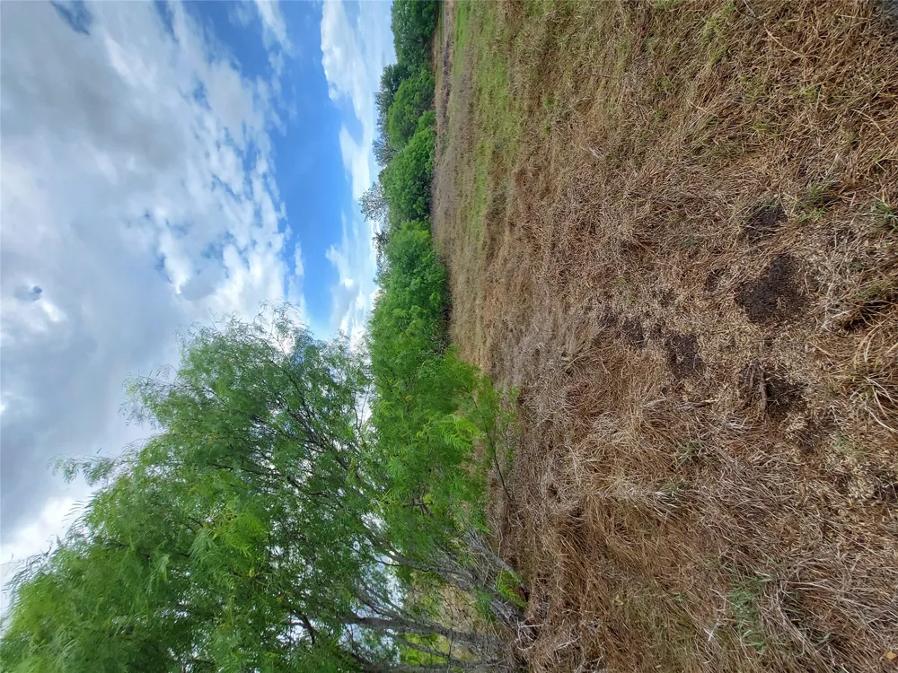 1060 Fox Lane #Tract 4 Lockhart, TX 78644