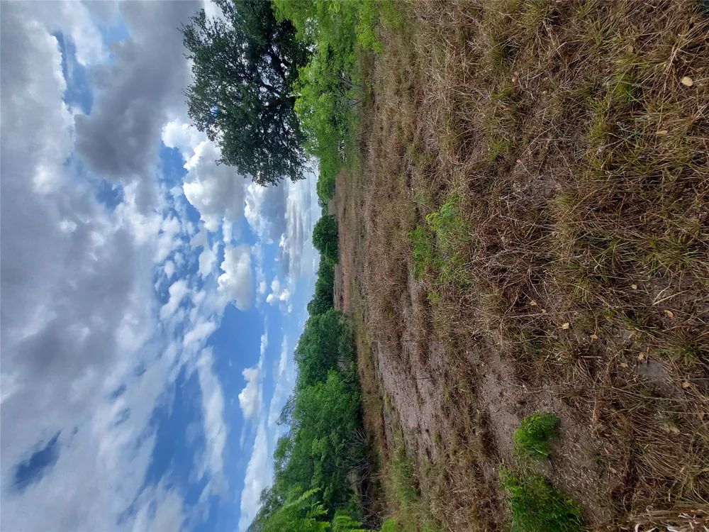 1060 Fox Lane #Tract 4 Lockhart, TX 78644
