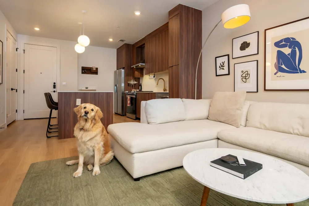 1701 Simond Avenue #215 Austin, TX 78723
