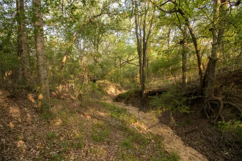 438 Firefly Field Lane