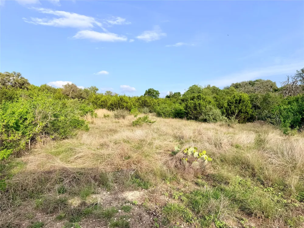 13 Spies Ridge Drive Fredericksburg, TX 78624