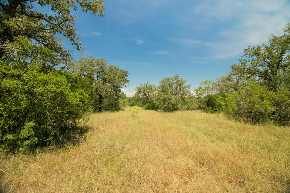 2564 Bluestem Crest Lane Kingsbury, TX 78638
