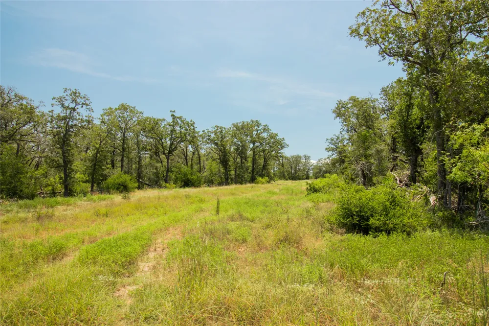2564 Bluestem Crest Lane Kingsbury, TX 78638