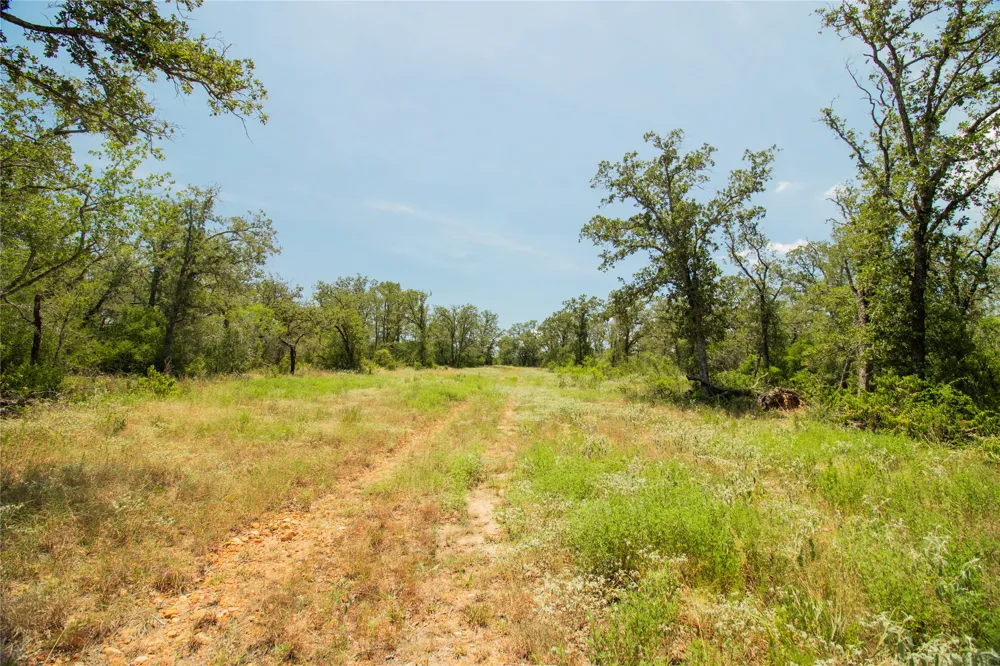 2564 Bluestem Crest Lane Kingsbury, TX 78638