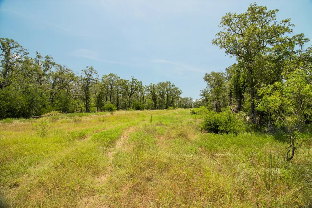 2564 Bluestem Crest Lane Kingsbury, TX 78638