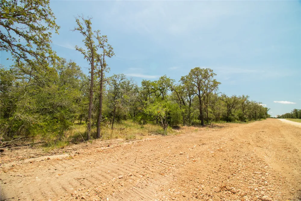 2564 Bluestem Crest Lane Kingsbury, TX 78638