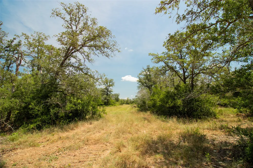 2564 Bluestem Crest Lane Kingsbury, TX 78638