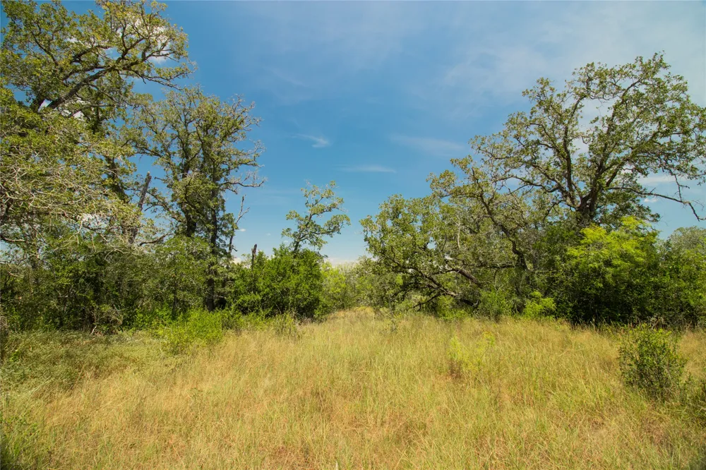 2564 Bluestem Crest Lane Kingsbury, TX 78638