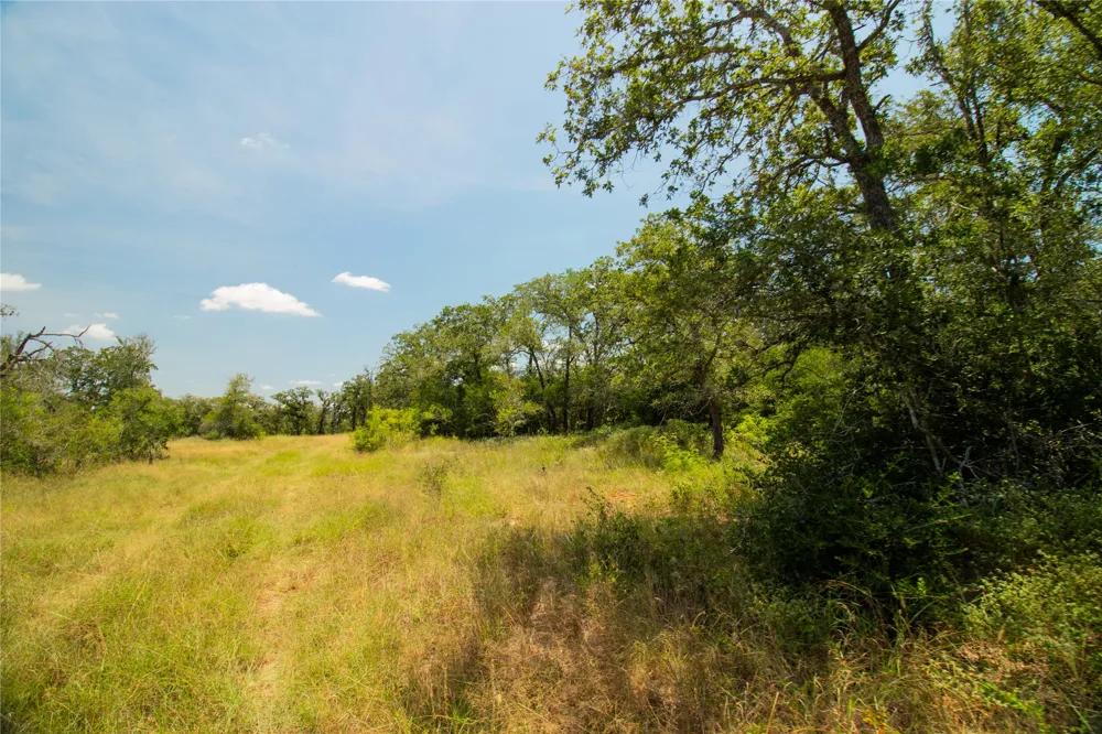 2564 Bluestem Crest Lane Kingsbury, TX 78638