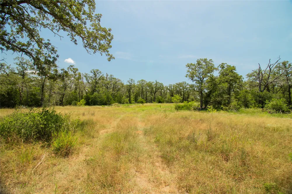 2564 Bluestem Crest Lane Kingsbury, TX 78638