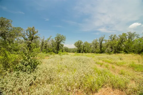 2564 Bluestem Crest Lane