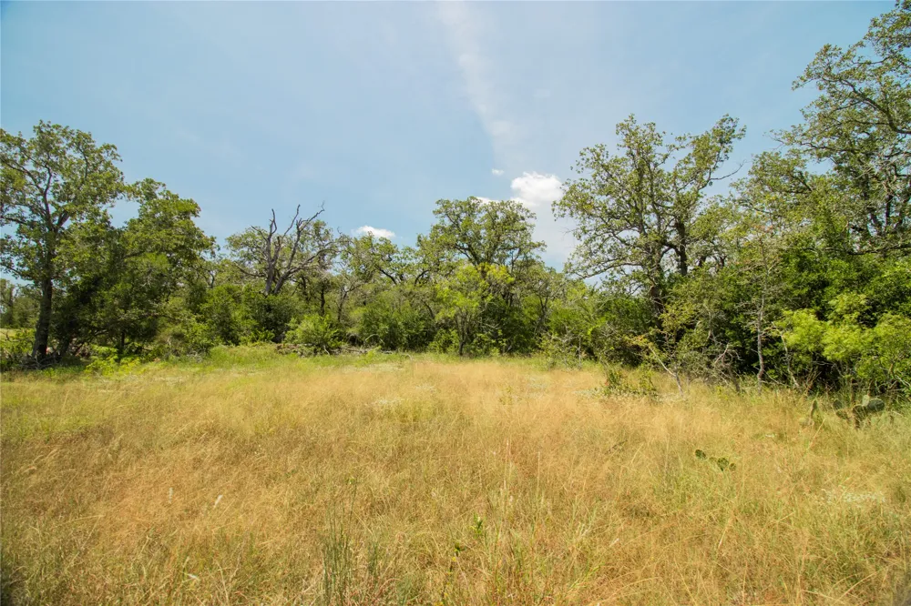 2564 Bluestem Crest Lane Kingsbury, TX 78638