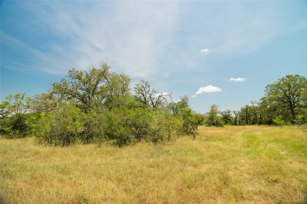 2564 Bluestem Crest Lane Kingsbury, TX 78638