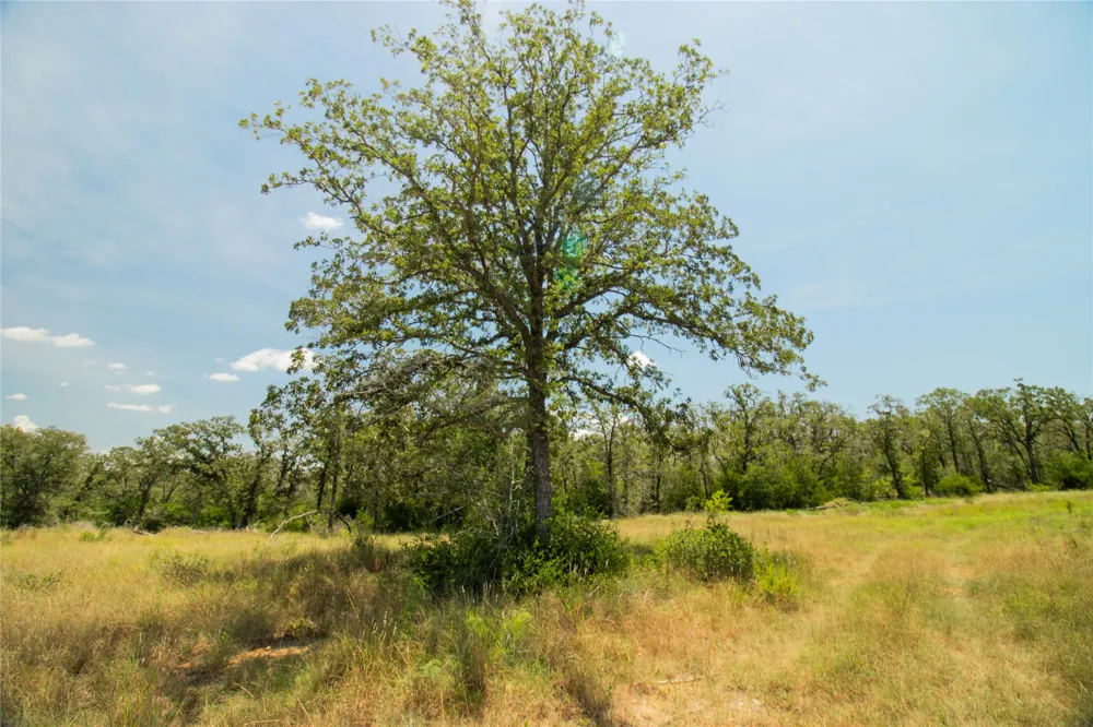 2564 Bluestem Crest Lane Kingsbury, TX 78638
