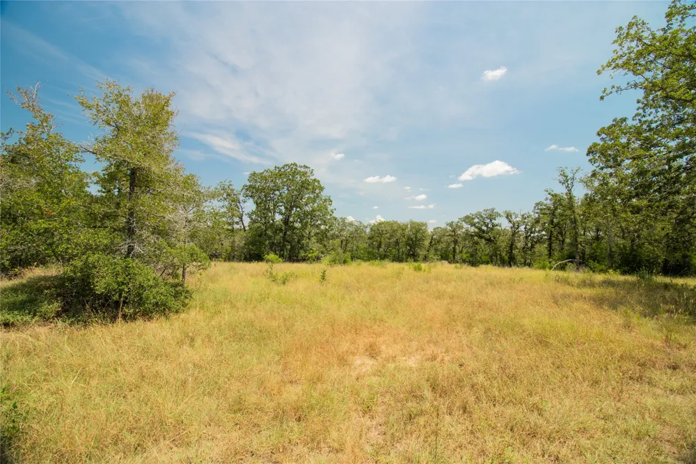 2564 Bluestem Crest Lane Kingsbury, TX 78638