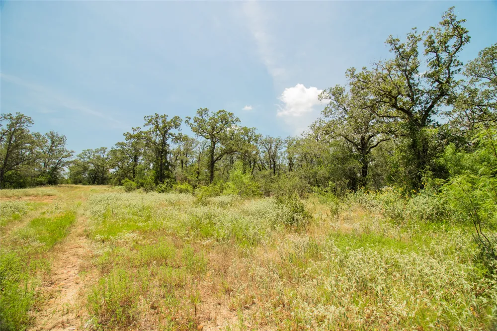 2564 Bluestem Crest Lane Kingsbury, TX 78638