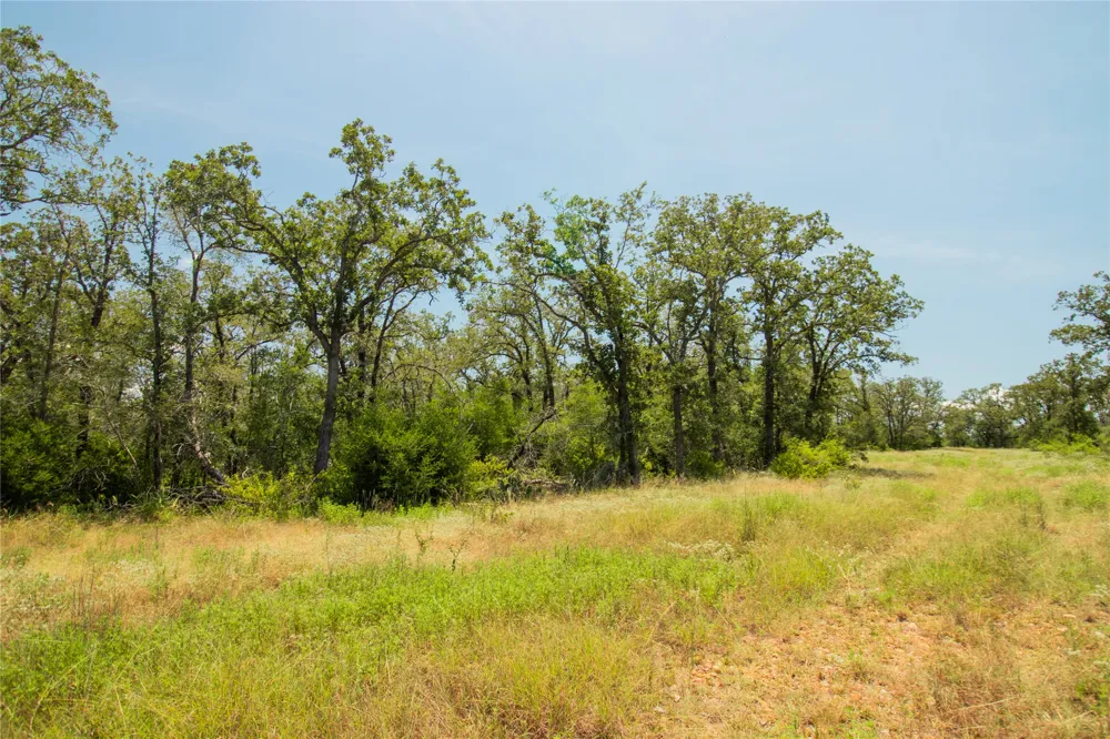 2564 Bluestem Crest Lane Kingsbury, TX 78638