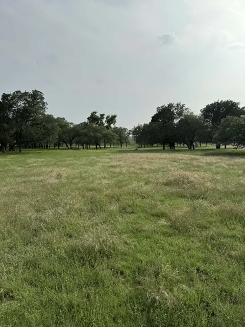 2251 County Road 234 Lane