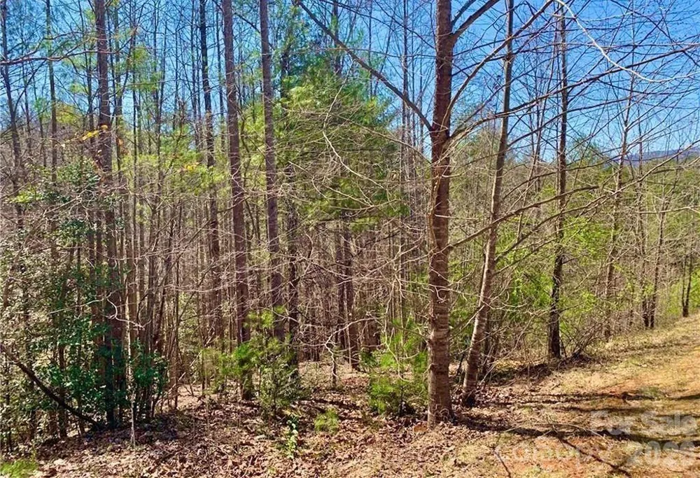 Lot 148 Rocky Falls Lane #148 Lenoir, NC 28645