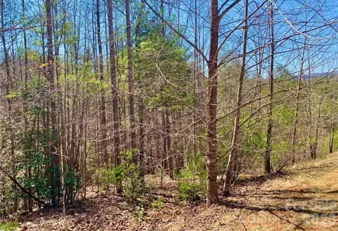 Lot 148 Rocky Falls Lane #148