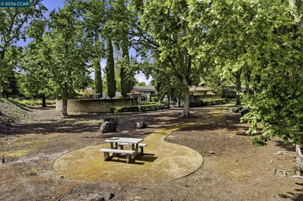 335 Tampico Walnut Creek, CA 94598