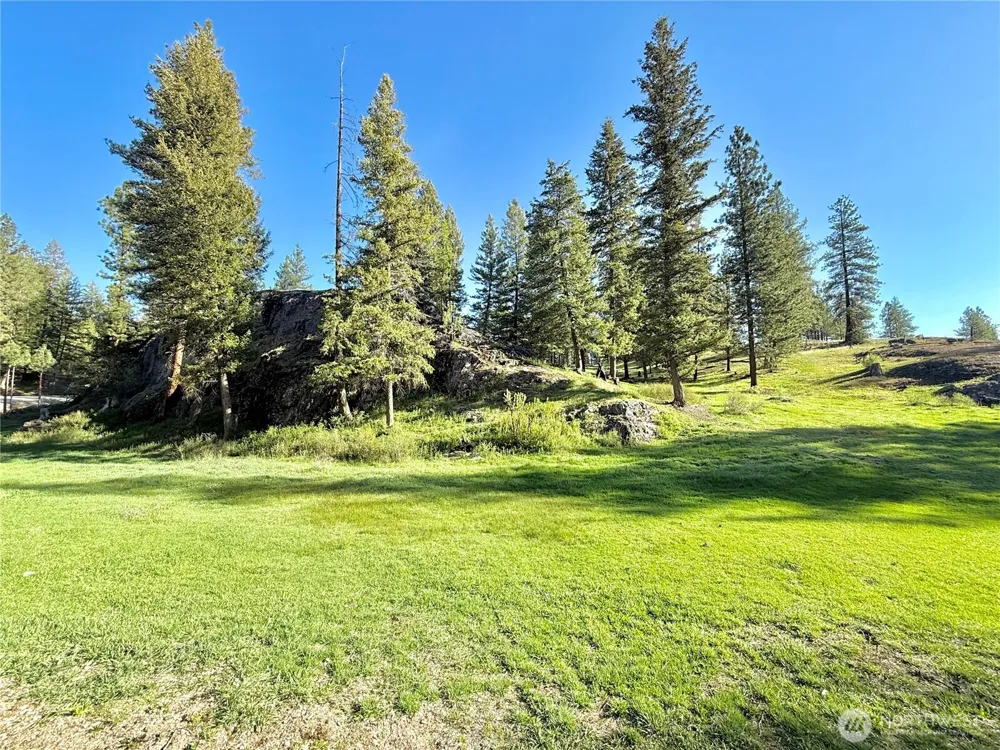 1092 Aeneas Valley Road Tonasket, WA 98855