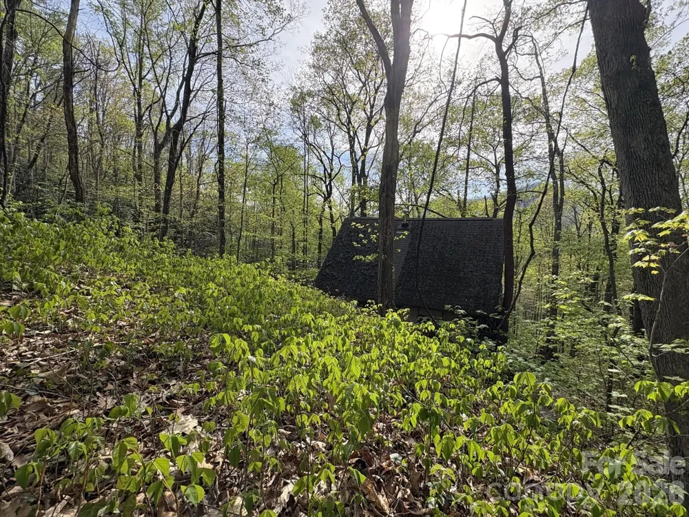 999999 Harwood Road Barnardsville, NC 28709