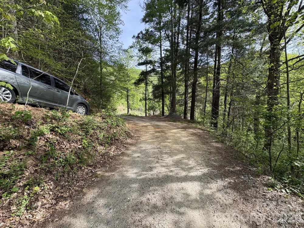 999999 Harwood Road Barnardsville, NC 28709